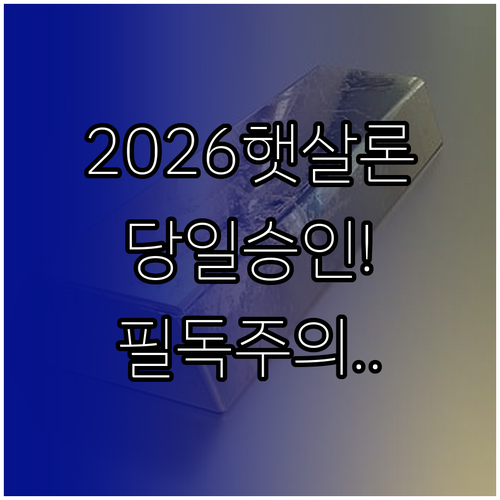 2026년형 디지털 햇살론 당일 승인..
