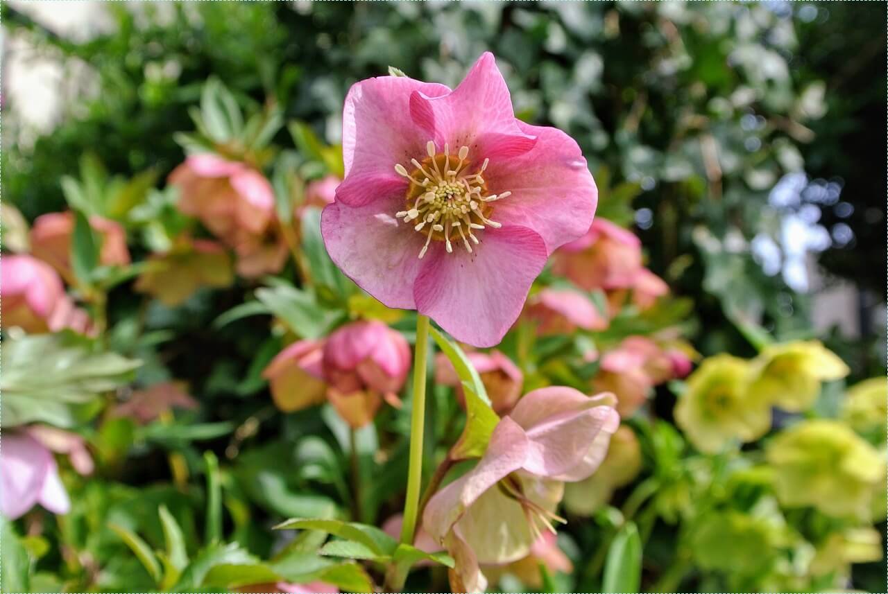 우체국 정기예금 금리