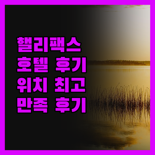 핼리팩스 호텔, 솔직 후기! 위치, 