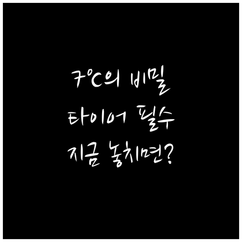 2025 스노우타이어 교체 적정 시기..