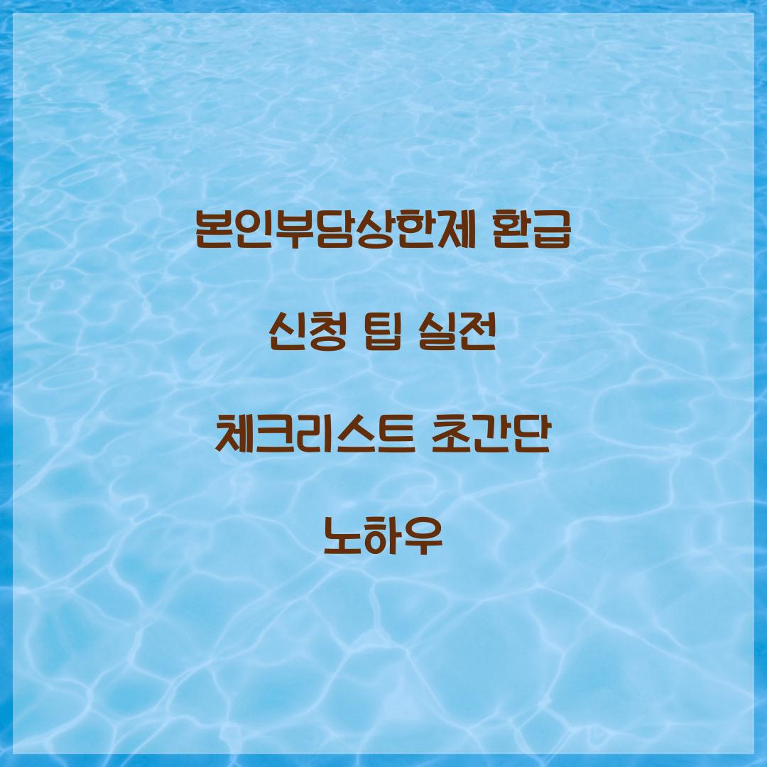 본인부담상한제 환급 신청