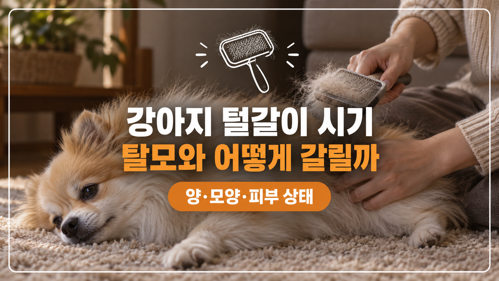 털갈이와 탈모 대표