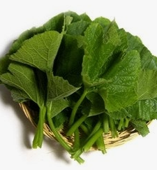 호박잎 효능 부작용 고르는법 칼로리