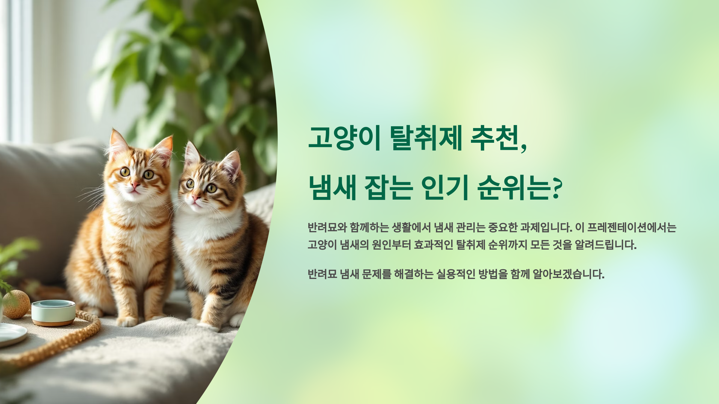 고양이 탈취제 추천, 냄새 잡는 인기 순위는?