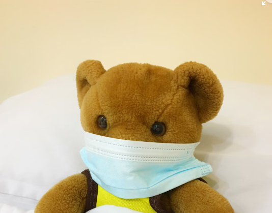 차가버섯 환 효능