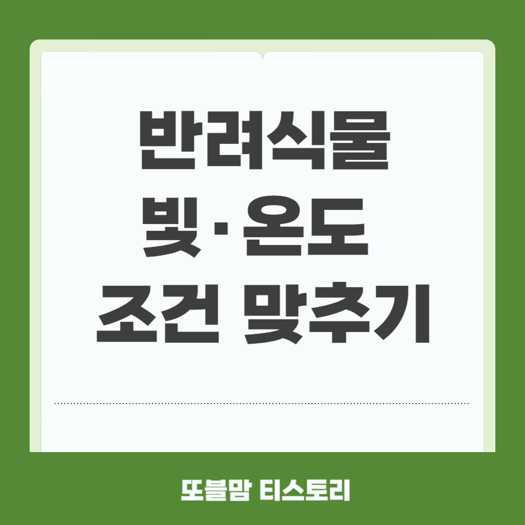 식물 빛 온도 조건 맞추기