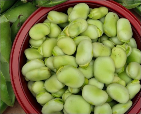 당뇨에 좋은 음식 -5