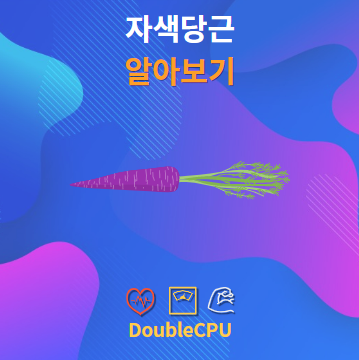 자색당근 알아보기