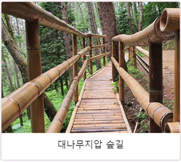 거제 맹종죽테마공원