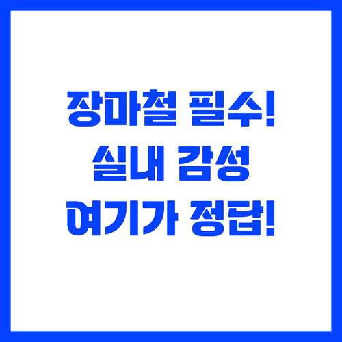 장마철도 두렵지 않은 국내 실내 감성..