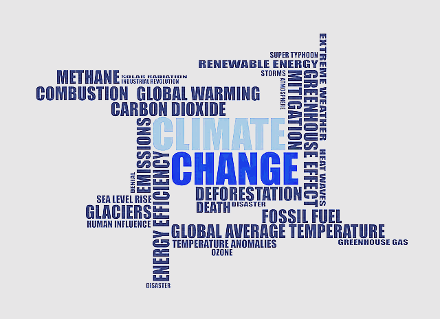 성격 변화 가능성: 인간의 성격은 바뀔 수 있는가?