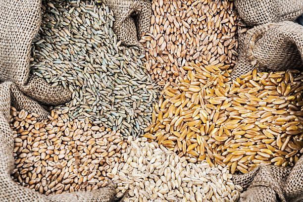 카무트 효소 효능