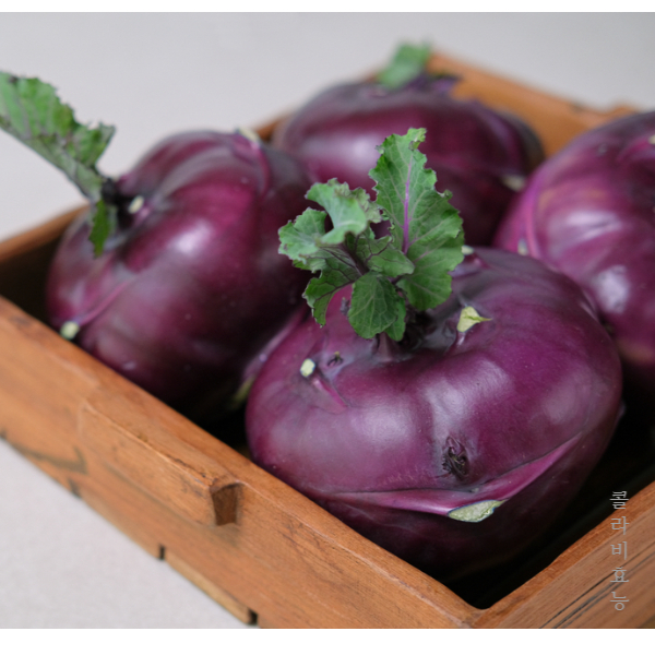 콜라비 효능│콜라비 효능 알고 드세요!