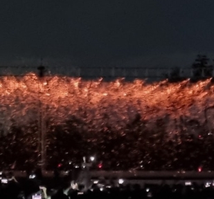 2025년 세종시 세종낙화축제