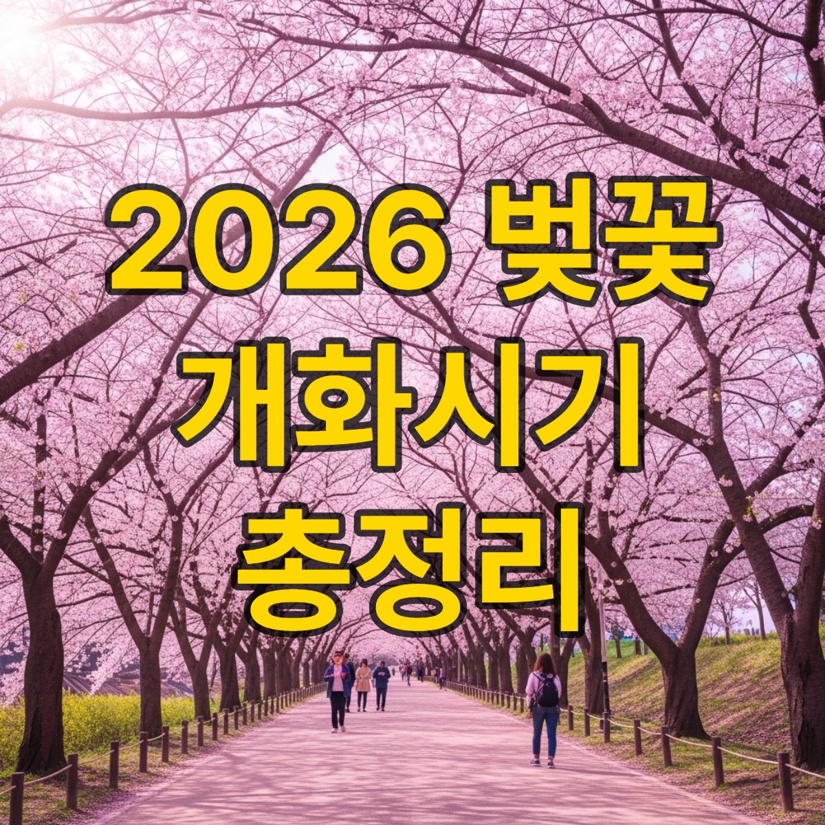 벚꽃개화시기