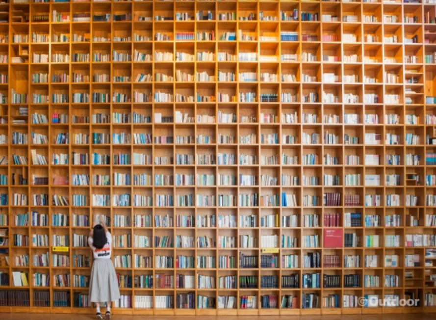 지혜의 숲 도서관 이미지