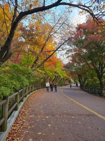 남산둘레길 코스 지도 소요시간 맛집_21