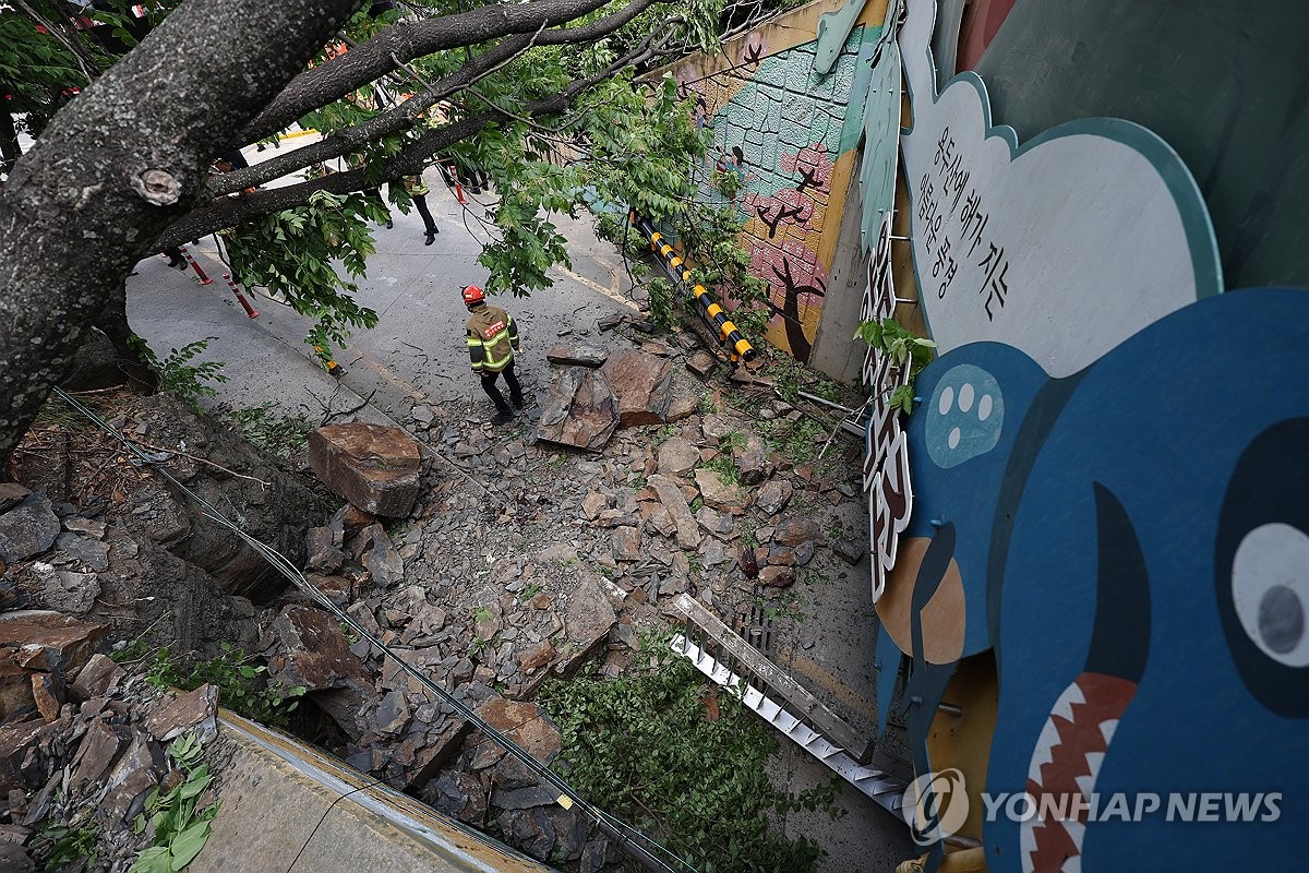 대구 남구 용두낙조 지하차도 낙석 사고 원인 분석: 안전 펜스 미설치 논란과 대응책 총정리