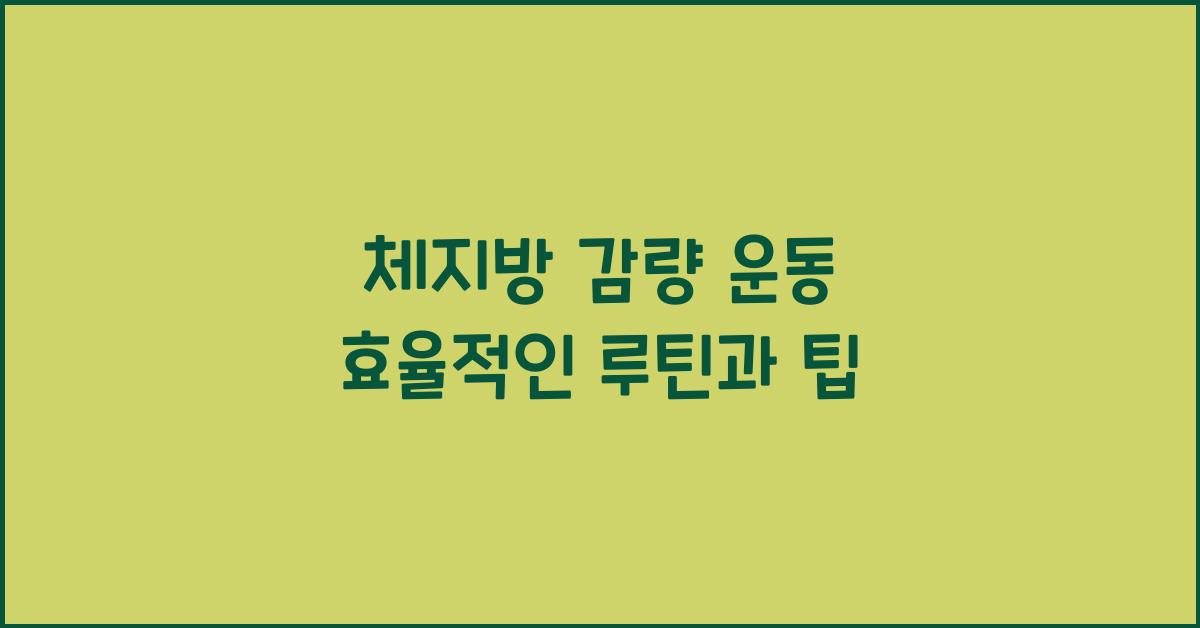 체지방 감량 운동