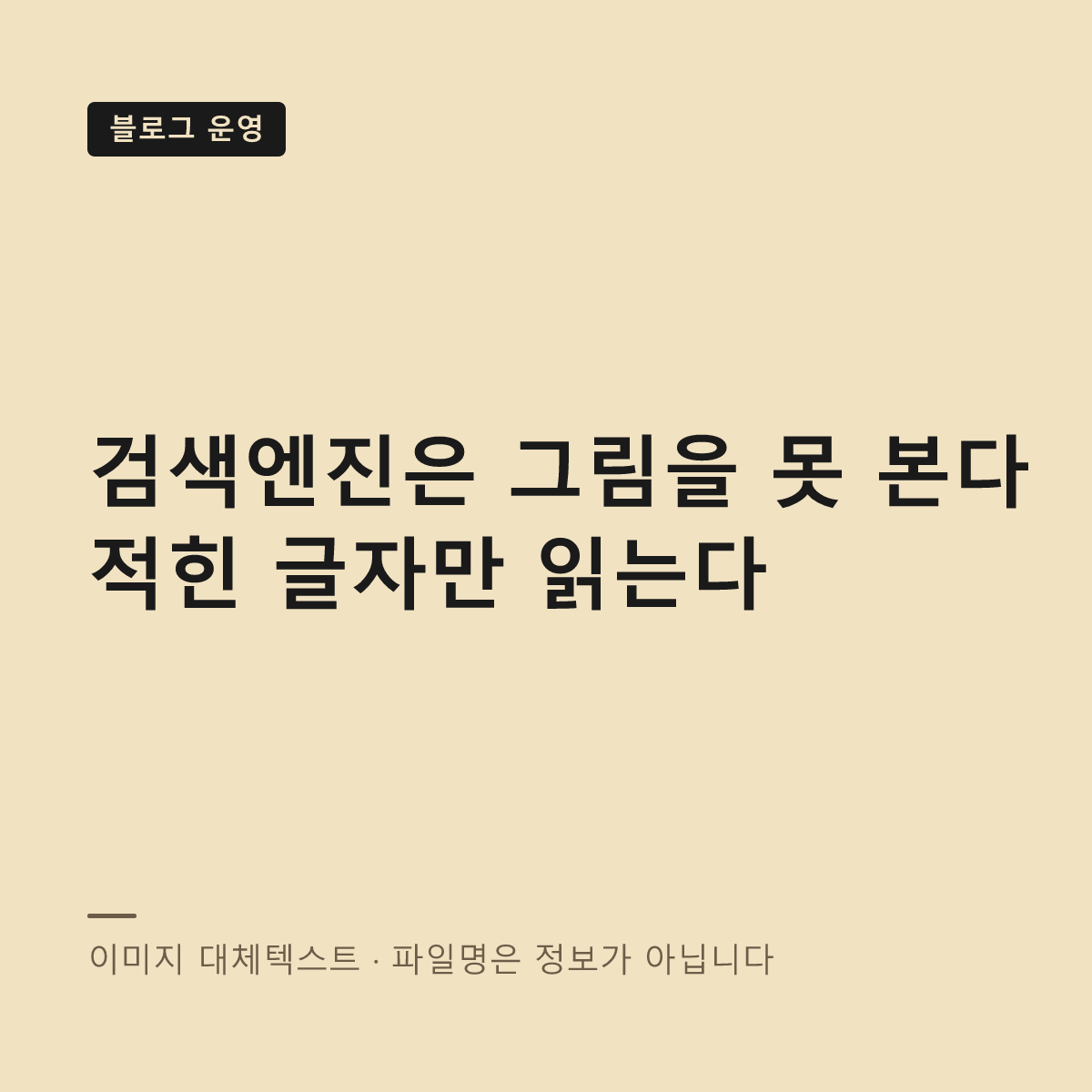 이미지 대체텍스트 작성 기준 대표 이미지