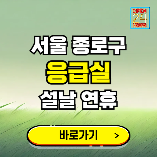 서울 종로구 설날 연휴 비상진료 응급실 병원 찾기 ❘ 내근처 24시 야간 심야 휴일 가능한 곳