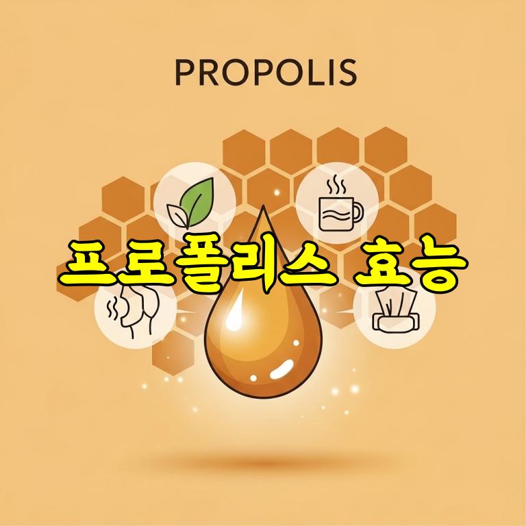 프로폴리스 효능 총정리