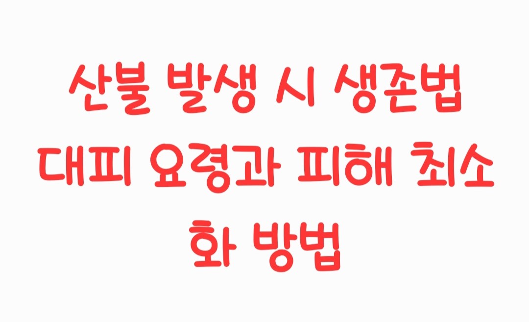 산불 발생 시 생존법: 대피 요령과 피해 최소화 방법