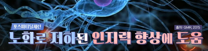 포스파티딜세린 효능