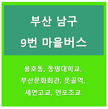부산남구9번마을버스 썸네일