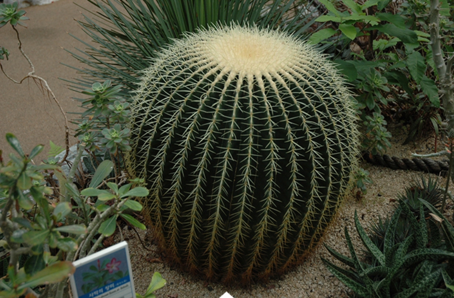 가을여행/가족여행지/추천/전북/대아수목원