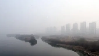 세종 미세먼지 농도 공원 산책 시간대 선택 건강 팁_8