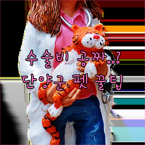단양군 반려동물 중성화 수술 및 예방..