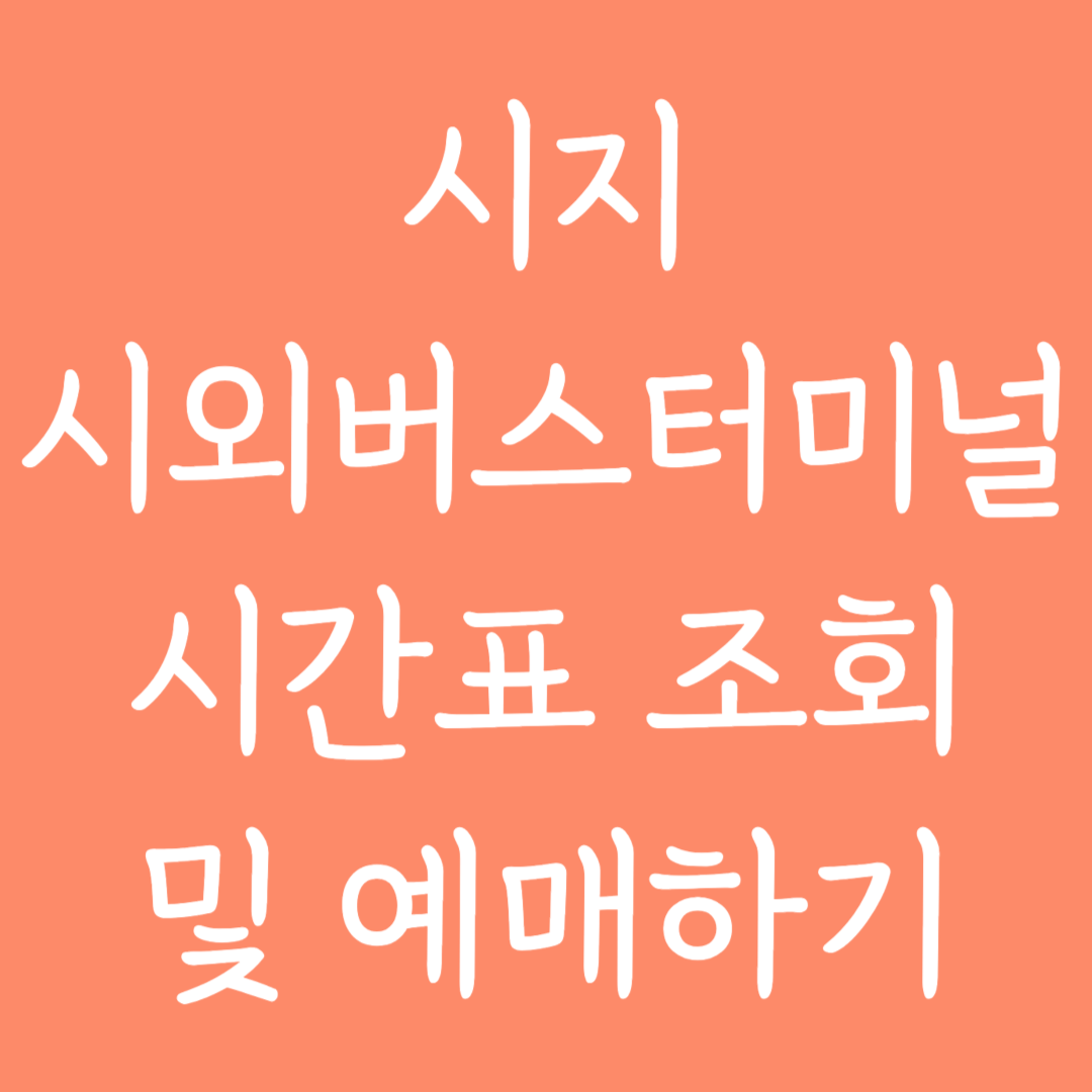 시지 시외버스터미널 시간표조회 및 예매하기