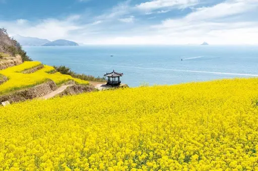 남해 다랭이마을