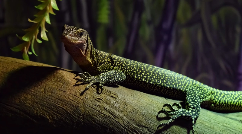 건설현장 실시간 모니터링 시스템의 필요성