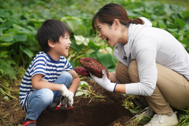 “1인 농업 창업 준비일지 1편 - 귀농 첫 실패 – 시든 작물, 망가진 텃밭… 그리고 우리가 배운 것들"