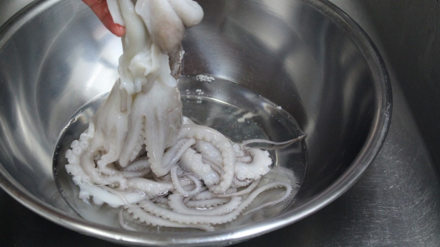 낙지 요리 레시피 총정리