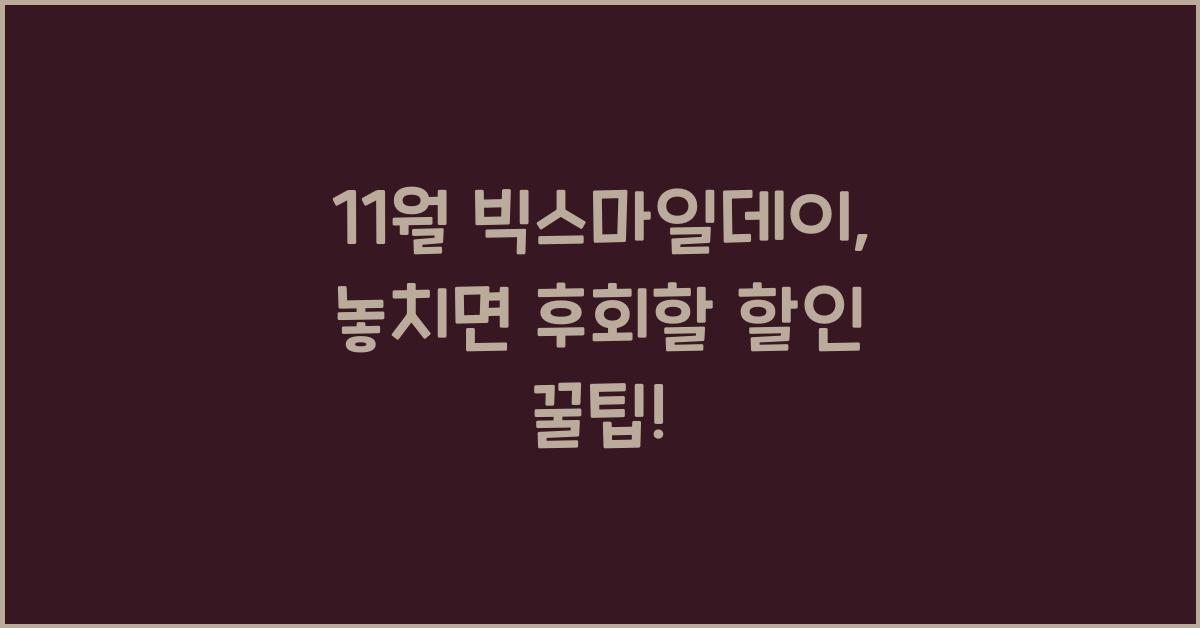 11월 빅스마일데이