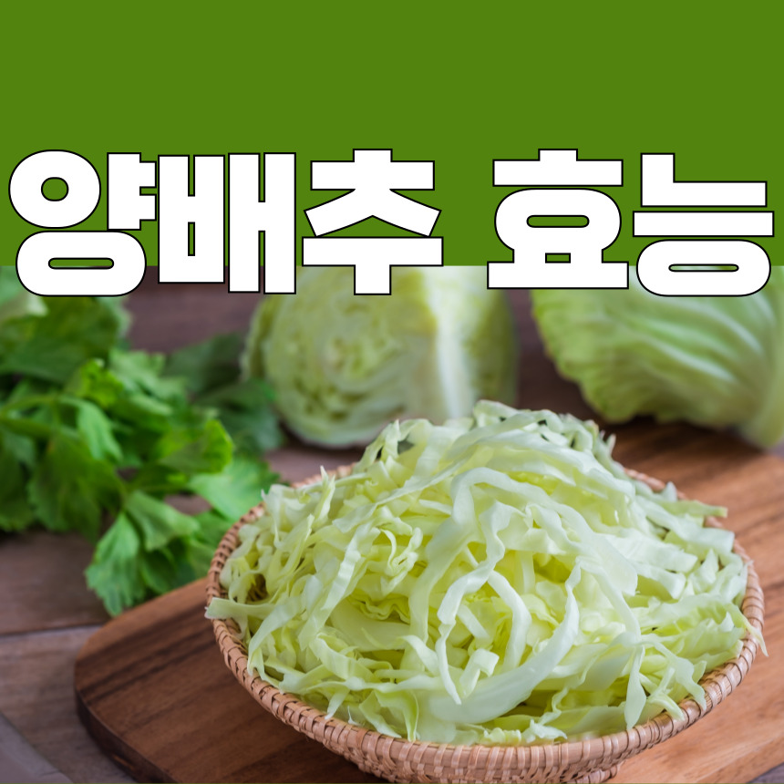 양배추 효능