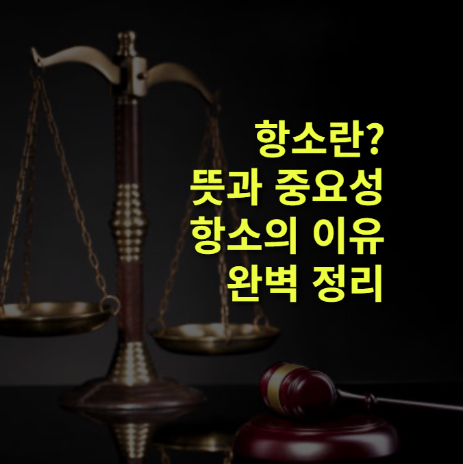 항소란? 뜻과 중요성, 하는 이유는?