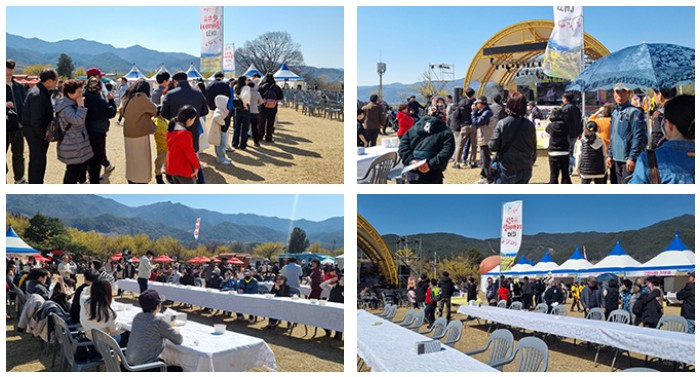 구례 산수유꽃 축제 산수유열매 까기 대회