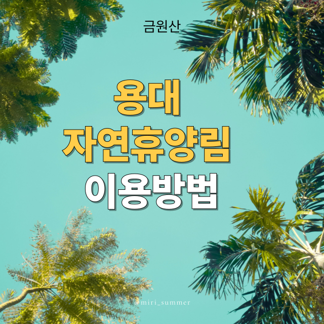 설악산 자락 속 힐링 여행지, 국립 용대자연휴양림 완벽 가이드