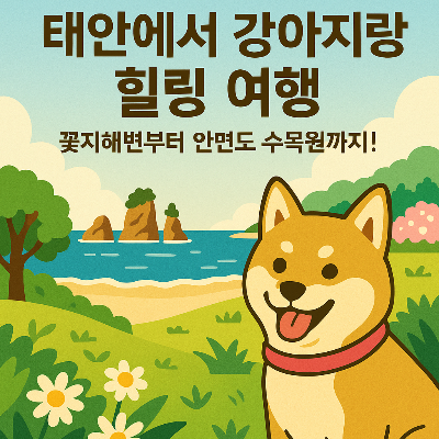 태안에서 강아지랑 힐링 여행 – 꽃지해변부터 안면도 수목원까지!