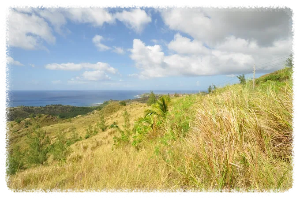 세티 베이 전망대