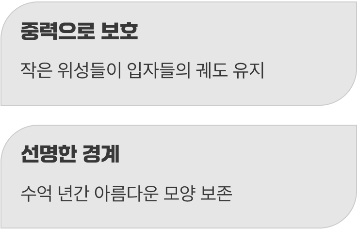 고리를 지키는 작은 양치기들