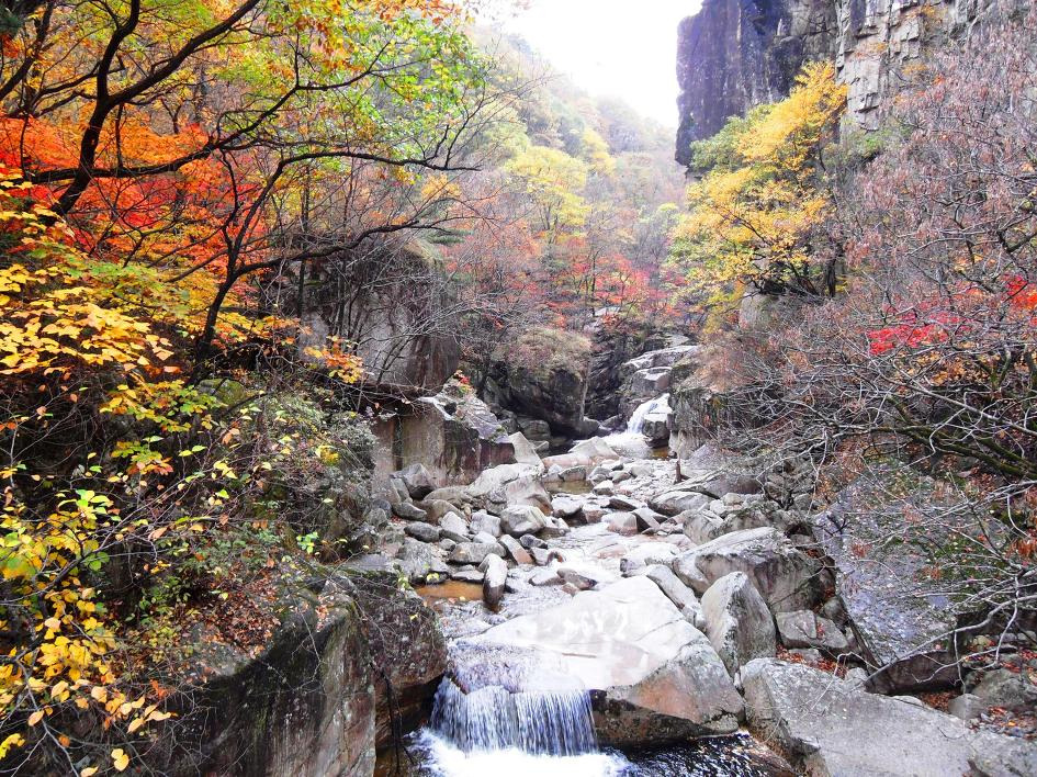 무릉계곡