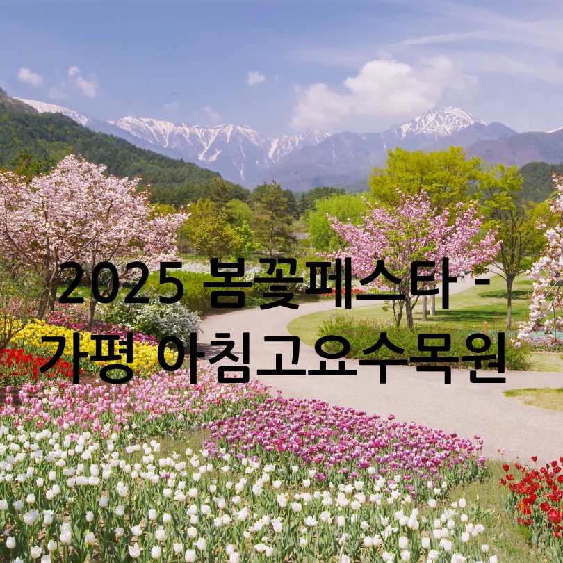 아침고요수목원 2025 봄꽃페스타
