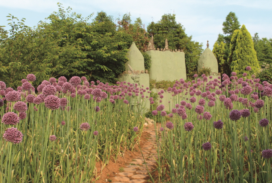 태안 가을 꽃박람회 주변 관광지 추천