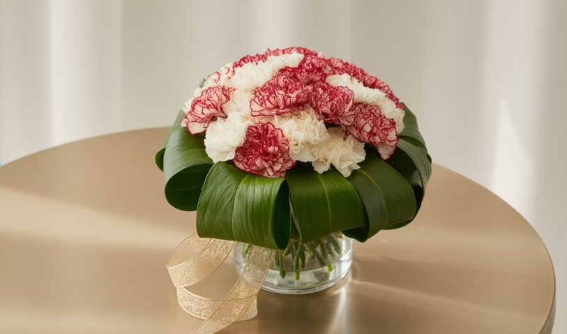 테이블 위의 카네이션 이미지