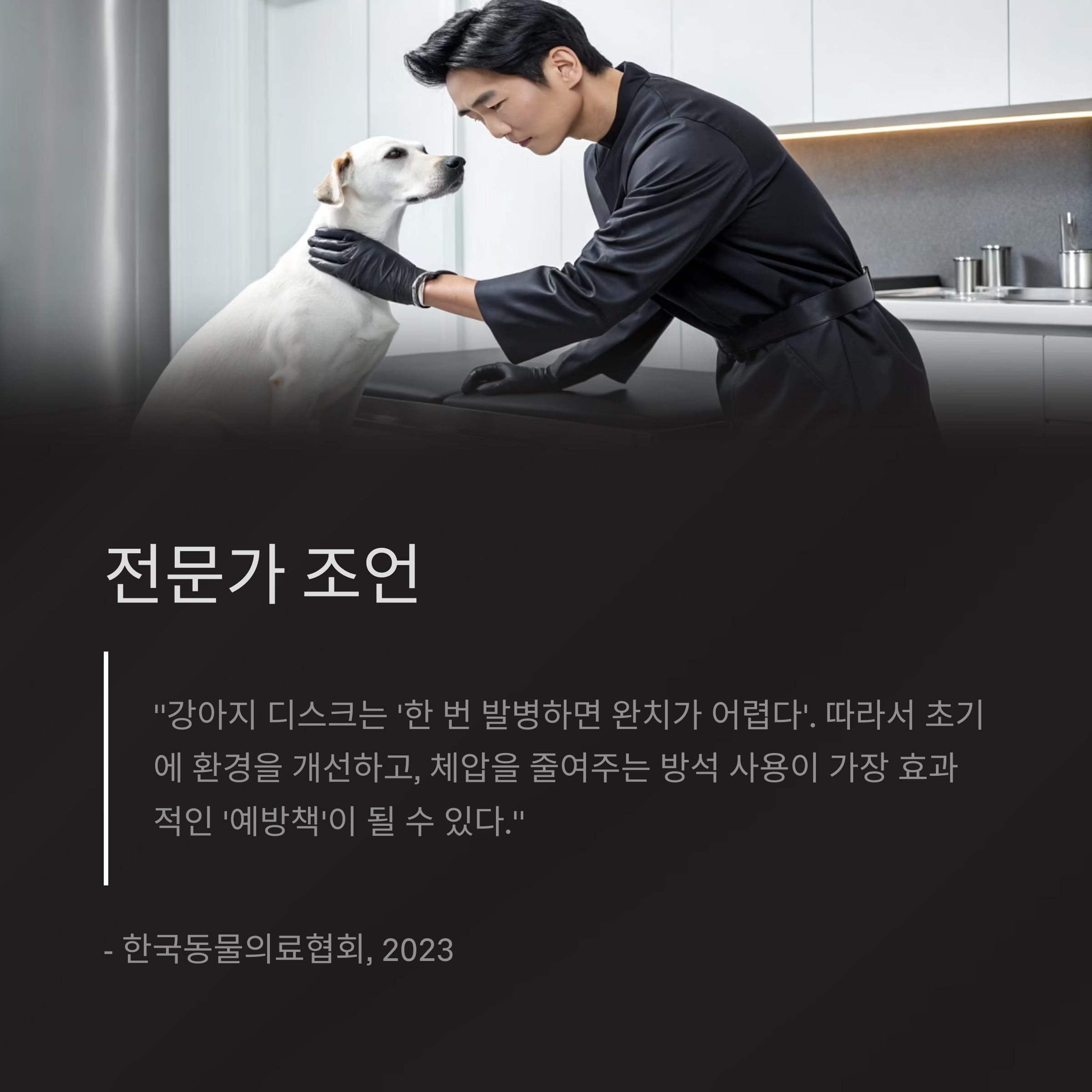 전문가 조언